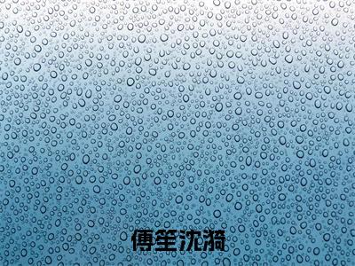 沈漪傅笙全文免费大结局 傅笙沈漪小说在线阅读