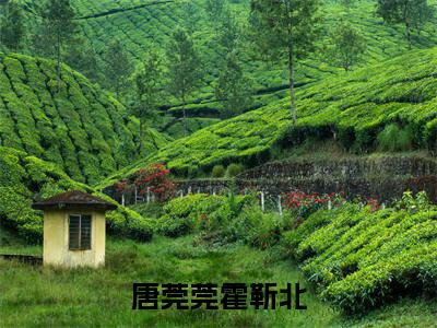 唐莞莞霍靳北(霍靳北唐莞莞)免费阅读-(霍靳北唐莞莞)最新章节小说全文在线阅读