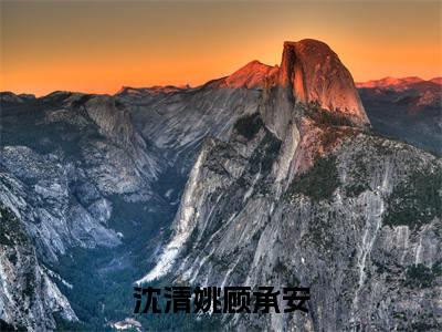 沈清姚顾承安(顾承安沈清姚)全文免费阅读无弹窗_(顾承安沈清姚的小说全文免费阅读)沈清姚顾承安小说最新章节列表无删减_笔趣阁