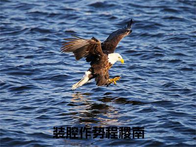 齐郁程稷南小说全文(装腔作势程稷南)在线阅读-齐郁程稷南全文免费阅读无弹窗大结局