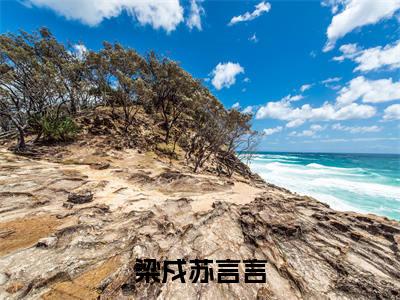 梁戍苏言言小说(梁戍苏言言)全文免费阅读无弹窗大结局_梁戍苏言言小说最新章节列表_笔趣阁