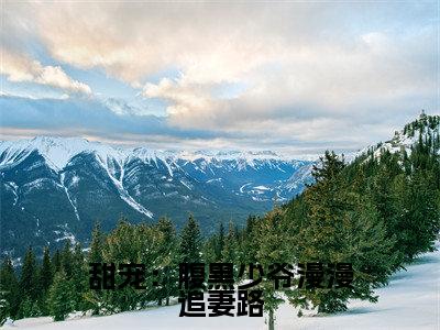  时欢顾景和（甜宠：腹黑少爷漫漫追妻路）全文免费阅读无弹窗大结局_（甜宠：腹黑少爷漫漫追妻路无弹窗）全文完整版免费阅读