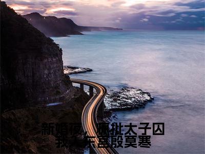 新婚夜，疯批太子囚我入东宫殷莫寒最新热门榜单小说-魏安宁殷莫寒全文无弹窗免费阅读大结局