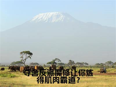 夺舍反派魔修让你炼得肌肉霸道？最新章节（ 楚良元阳）全文免费阅读无弹窗大结局_ 楚良元阳免费阅读（夺舍反派魔修让你炼得肌肉霸道？）