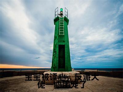 宝宝被读心，反派大佬一心团宠了小说（君宝宝）热推新书_宝宝被读心，反派大佬一心团宠了最新章节在线阅读_笔趣阁