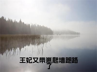 唐云瑾(王妃又带崽爬墙跑路了)全文免费阅读无弹窗_唐云瑾最新小说_笔趣阁(王妃又带崽爬墙跑路了唐云瑾)