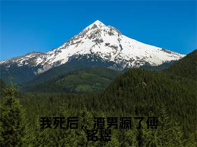 我死后,渣男疯了傅铭煜知乎小说全文免费阅读_(我死后,渣男疯了傅铭煜)傅铭煜程西知乎小说最新章节列表笔趣阁