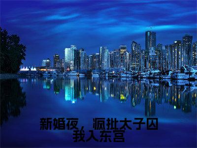 魏安宁殷莫寒（新婚夜，疯批太子囚我入东宫）全文免费阅读_新婚夜，疯批太子囚我入东宫最新章节小说免费阅读_笔趣阁魏安宁殷莫寒