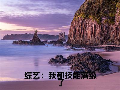 综艺：我都技能满级了，划划水怎么了（ 沈予微宴时钦）全文免费阅读综艺：我都技能满级了，划划水怎么了最新章节小说免费阅读_笔趣阁
