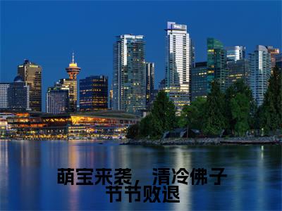 南宫似华南宫清梨(萌宝来袭,清冷佛子节节败退)全文免费阅读无弹窗大结局_南宫似华南宫清梨最新章节列表_笔趣阁(萌宝来袭,清冷佛子节节败退)