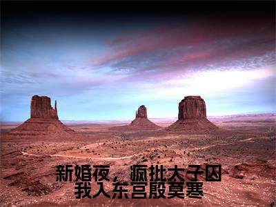 新婚夜，疯批太子囚我入东宫殷莫寒（魏安宁殷莫寒）全文免费阅读无弹窗大结局-新婚夜，疯批太子囚我入东宫殷莫寒最新章节列表-笔趣阁