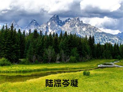 陆淙岑凝小说免费阅读(岑凝陆淙)全文免费阅读大结局-(陆淙岑凝小说免费阅读)好书推荐