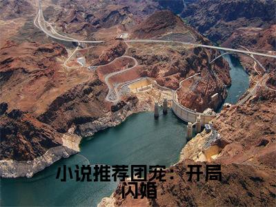 团宠：开局闪婚，身价飙升（ 夏南溪战承砚）精彩热门小说_（团宠：开局闪婚，身价飙升） 夏南溪战承砚最新章节列表_笔趣阁