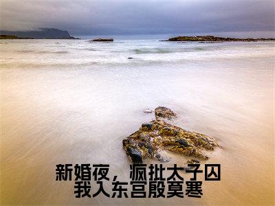 新婚夜，疯批太子囚我入东宫殷莫寒在线阅读全文免费阅读无弹窗大结局_魏安宁殷莫寒最新章节列表_笔趣阁