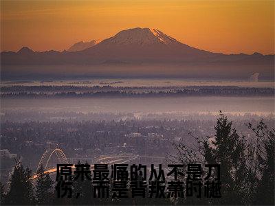 原来最痛的从不是刀伤，而是背叛萧时樾小说好看吗-原来最痛的从不是刀伤，而是背叛萧时樾沈离浅萧时樾热门小说大结局阅读