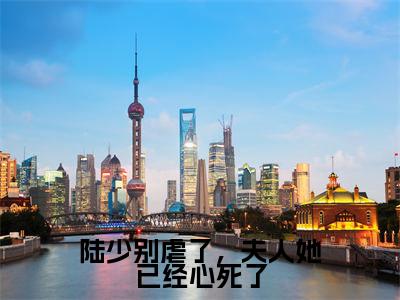 陆少别虐了，夫人她已经心死了（陆深寒曲暖夏）小说在线阅读_陆少别虐了，夫人她已经心死了免费阅读笔趣阁（陆深寒曲暖夏）