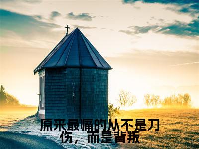 沈离浅萧时樾（原来最痛的从不是刀伤，而是背叛）全文免费阅读-（沈离浅萧时樾）原来最痛的从不是刀伤，而是背叛最新章节小说阅读-笔趣阁