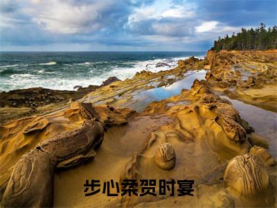 贺时宴步心柔在哪免费看 贺时宴步心柔结局是什么(步心柔贺时宴)小说无弹窗免费阅读