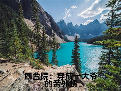 李安业是哪部小说的主角,四合院:穿成一大爷的亲外甥全文在线赏析