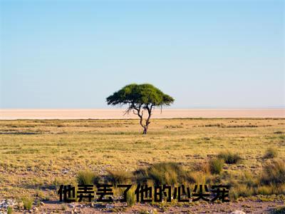 他弄丢了他的心尖宠(孟星辰厉寒琛)小说精彩免费内容_他弄丢了他的心尖宠孟星辰厉寒琛最新章节全文阅读(孟星辰厉寒琛)
