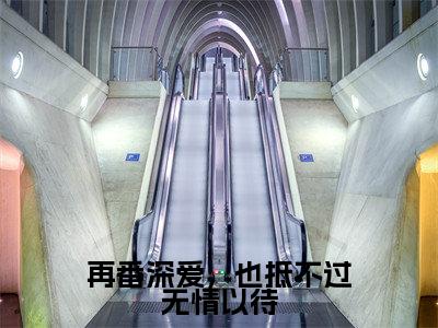 再番深爱，也抵不过无情以待（言兮秋里鹤小说全文）在线阅读无弹窗大结局-再番深爱，也抵不过无情以待全文无删减版阅读