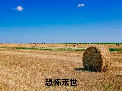 恐怖末世，炮灰女配神级道具开局全文免费阅读全文免费阅读无弹窗大结局_ 雾月苏沫全文免费阅读_笔趣阁