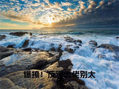  林妤笙陆峥野抖音新书热荐 -爆撩！反派大佬别太爱全文在线赏析（ 林妤笙陆峥野）