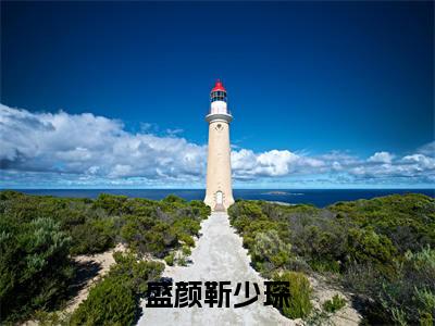 盛颜靳少琛小说全文（靳少琛盛颜）全文免费阅读无弹窗大结局_盛颜靳少琛全文免费阅读无弹窗最新章节列表_笔趣阁