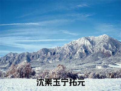 沈素玉宁拓元(宁拓元沈素玉)全文免费在线阅读_沈素玉宁拓元全文免费阅读无弹窗大结局