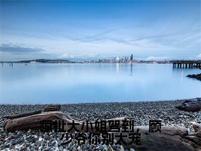 顾思宸许汐晚（疯批大小姐驾到，顾少爷你别太宠）免费阅读无弹窗大结局_（疯批大小姐驾到，顾少爷你别太宠）顾思宸许汐晚最新章节列表_笔趣阁