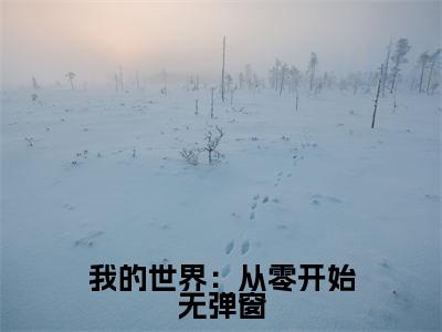 我的世界：从零开始小说免费阅读 宁馨红石君小说全文免费阅读_（我的世界：从零开始） 宁馨红石君最新章节列表笔趣阁