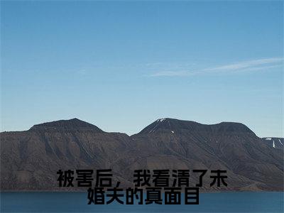 被害后,我看清了未婚夫的真面目(程秋桐傅殷雷)热门小说盘点在线阅读-全网推荐小说程秋桐傅殷雷全文