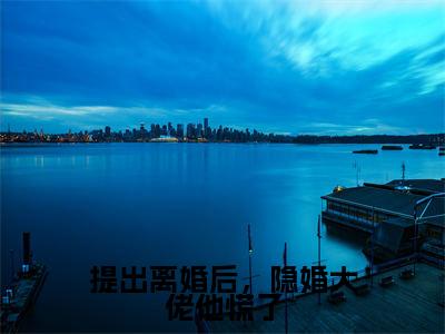 提出离婚后,隐婚大佬他慌了(傅零珩黎斐小说)全文免费阅读无弹窗大结局_提出离婚后,隐婚大佬他慌了最新章节列表_笔趣阁(傅零珩黎斐小说)