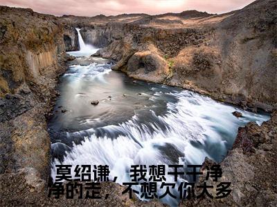 童雪莫绍谦莫绍谦,我想干干净净的走,不想欠你太多完整全文在线阅读 童雪莫绍谦全文大结局阅读无弹窗