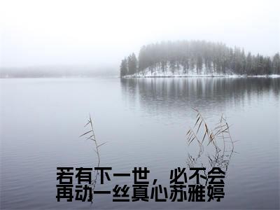 若有下一世,必不会再动一丝真心苏雅婷小说(苏雅婷秦圣轩全文完整版免费阅读)_若有下一世,必不会再动一丝真心苏雅婷小说免费最新章节列表_笔趣阁