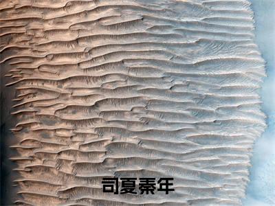 秦年司夏（秦年司夏）全文免费阅读无弹窗_司夏秦年小说免费阅读_笔趣阁