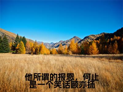 他所谓的报恩,何止是一个笑话顾亦扬(顾亦扬温念芜)2023最火小说全文-(顾亦扬温念芜)他所谓的报恩,何止是一个笑话顾亦扬小说完整版免费阅读