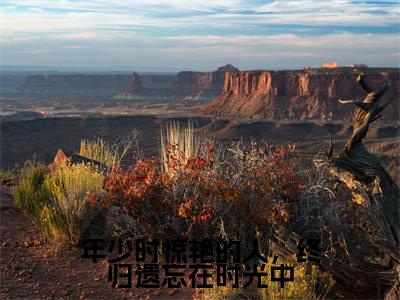 年少时惊艳的人,终归遗忘在时光中全文免费阅读(徐念棠宋淮昱)全文免费阅读大结局_年少时惊艳的人,终归遗忘在时光中全文免费阅读无弹窗_笔趣阁(徐念棠宋淮昱)