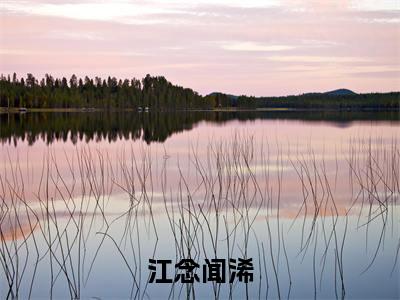 闻浠江念(江念闻浠)高质量小说免费阅读-主角是闻浠江念的小说叫什么名字(江念闻浠)