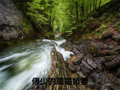 傅少的隐婚娇妻(温时简傅克韫)全文免费阅读无弹窗大结局_(温时简傅克韫小说全文免费阅读)傅少的隐婚娇妻小说全文无弹窗最新章节列表_笔趣阁(温时简傅克韫)
