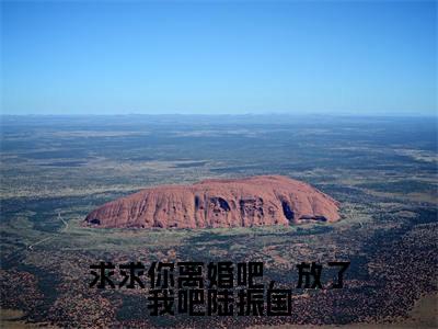 热门小说陆振国沈婉华全文免费阅读无弹窗大结局-求求你离婚吧,放了我吧陆振国全文无弹窗免费阅读大结局