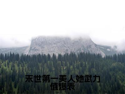 末世第一美人她武力值爆表（沈南州苏青瓷）小说全文免费阅读无弹窗_（沈南州苏青瓷）末世第一美人她武力值爆表小说全文免费阅读最新章节列表笔趣阁（沈南州苏青瓷）