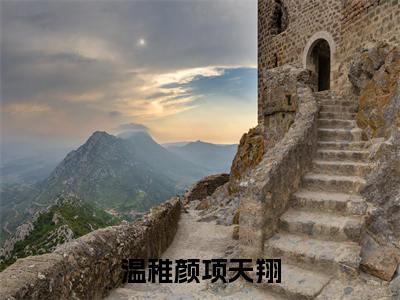 温稚颜项天翔最新章节(项天翔温稚颜)全文免费阅读无弹窗大结局_项天翔温稚颜免费阅读(温稚颜项天翔)
