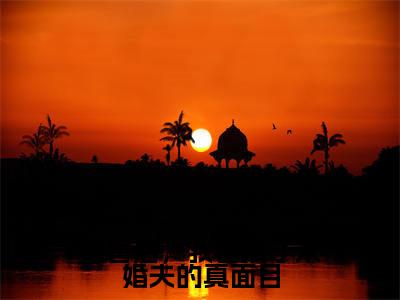 被害后，我看清了未婚夫的真面目(程秋桐傅殷雷)全文免费阅读_被害后，我看清了未婚夫的真面目(程秋桐傅殷雷)章节免费阅读-笔趣阁