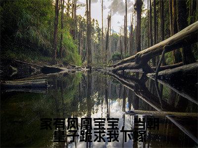 家有凤凰宝宝，当朝皇子跪求我下嫁（战北辰玉青璃）全文免费阅读无弹窗大结局_家有凤凰宝宝，当朝皇子跪求我下嫁热门小说最新章节阅读