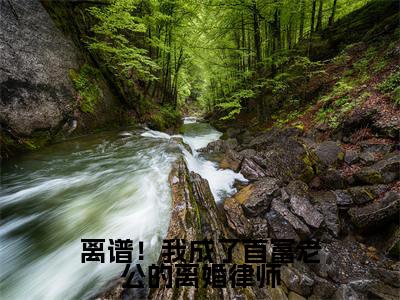 离谱!我成了首富老公的离婚律师(司烨陆辛夷)多人推荐阅读-精选小说(司烨陆辛夷)完整版免费阅读