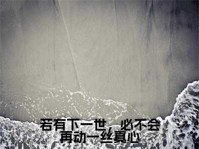 若有下一世，必不会再动一丝真心小说全文（苏雅婷秦圣轩）全文免费阅读无弹窗大结局-（苏雅婷秦圣轩）无弹窗免费阅读大结局