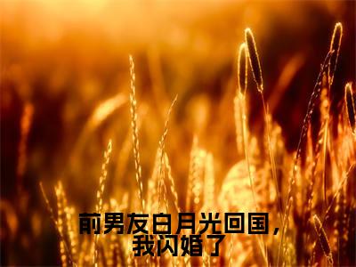 小说沈南乔谢司屿全文免费阅读无弹窗大结局-前男友白月光回国,我闪婚了沈南乔谢司屿免费阅读大结局