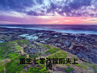 重生七零改嫁前夫上司最新章节(钟玲珑郑天森)小说推荐阅读-新书重生七零改嫁前夫上司精彩阅读