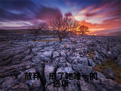 顾风城魏若希是哪部小说的主角，放弃，成了她唯一的选项全文在线赏析